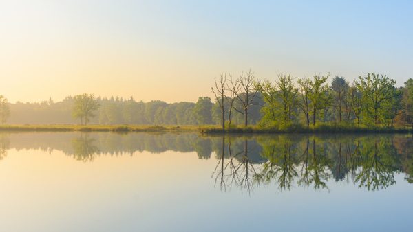 Un paisaje sereno de agua en calma